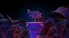 Reggio Politik