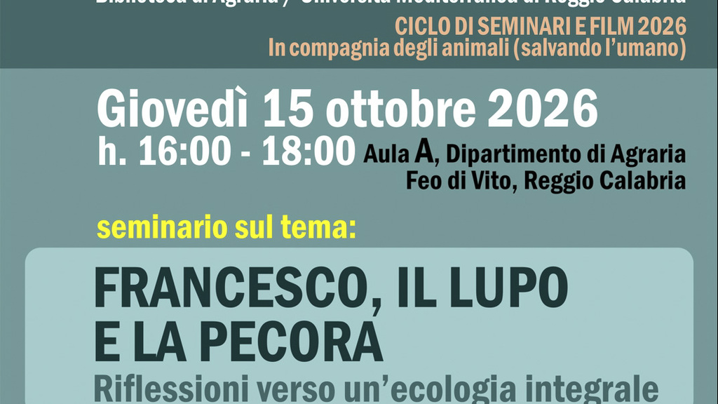 ReggioTV - Fra Pietro Maranesi alla Mediterranea: San Francesco e la ...