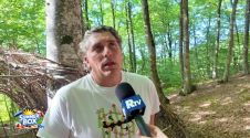 Summer Box - Il Bosco degli artisti