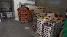 Speciale - San Gregorio, il mercato dimenticato