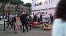 Speciale - Vinoforum 2024